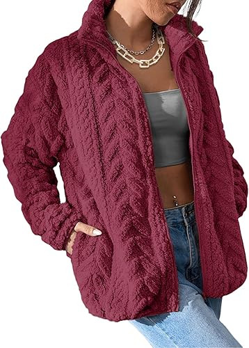 Dokotoo Winter Fleece Jacket for Women Oversized Zipper Up 2024 Stand Collar with Pockets Baggy C... | Amazon (US)