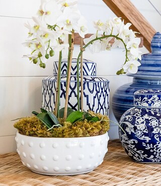 x Mrs. Southern Social Shallow Ceramic Stoneware Dotted Planter | Dillard's