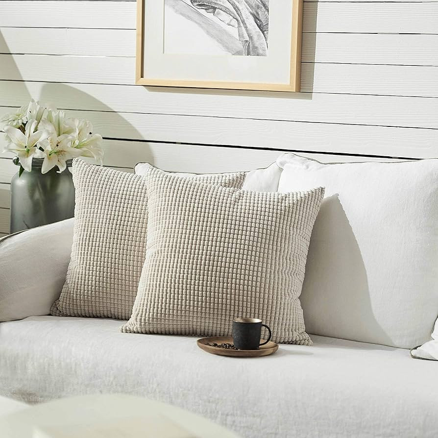 FY FIBER HOUSE Pack of 2 Comfy Corduroy Corn Granules Throw Pillow Covers Soft Decorative Square ... | Amazon (US)