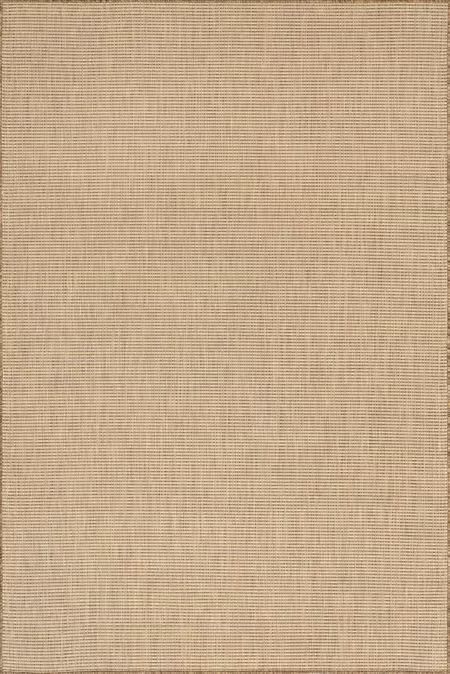 Brown Sandra Solid Transitional Indoor/Outdoor 8' x 10' Area Rug | Rugs USA