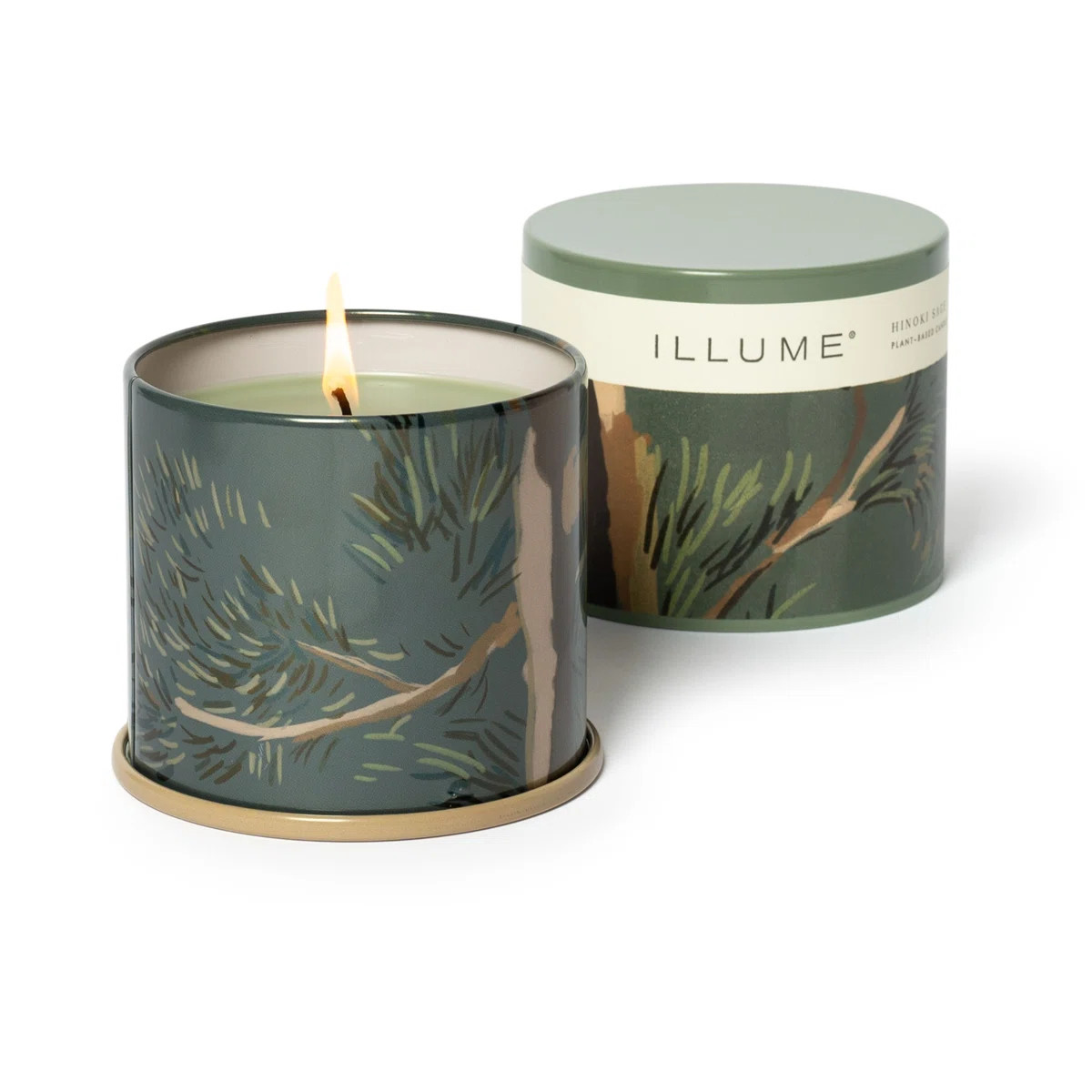 Beautifully Done Essentials Hinoki Sage Vanity Tin Scented Candle | Wayfair North America