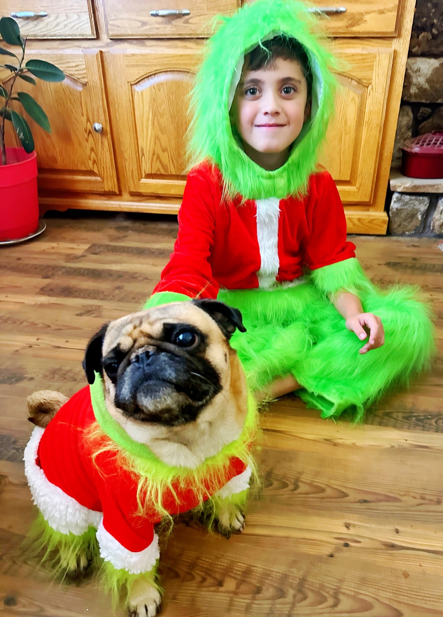These Christmas outfits are perfect for the holiday season! Check out our storefront for cute and comfy festive outfits for both kids and pets.
#LTKpets #grinch #grinchoutfit #petgrinchcostume #kidsgrinchcostume #christmasphotooutfit 

#LTKHoliday #LTKSeasonal #LTKKids