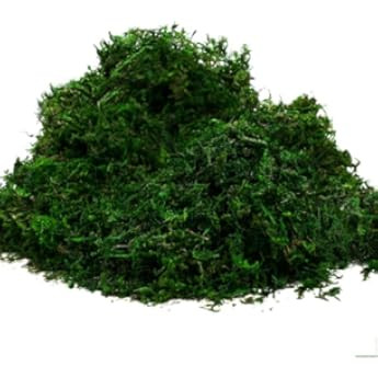 SuperMoss (22420) InstantGreen Moss Mat, Fresh Green, 18 x 16"" | Amazon (US)