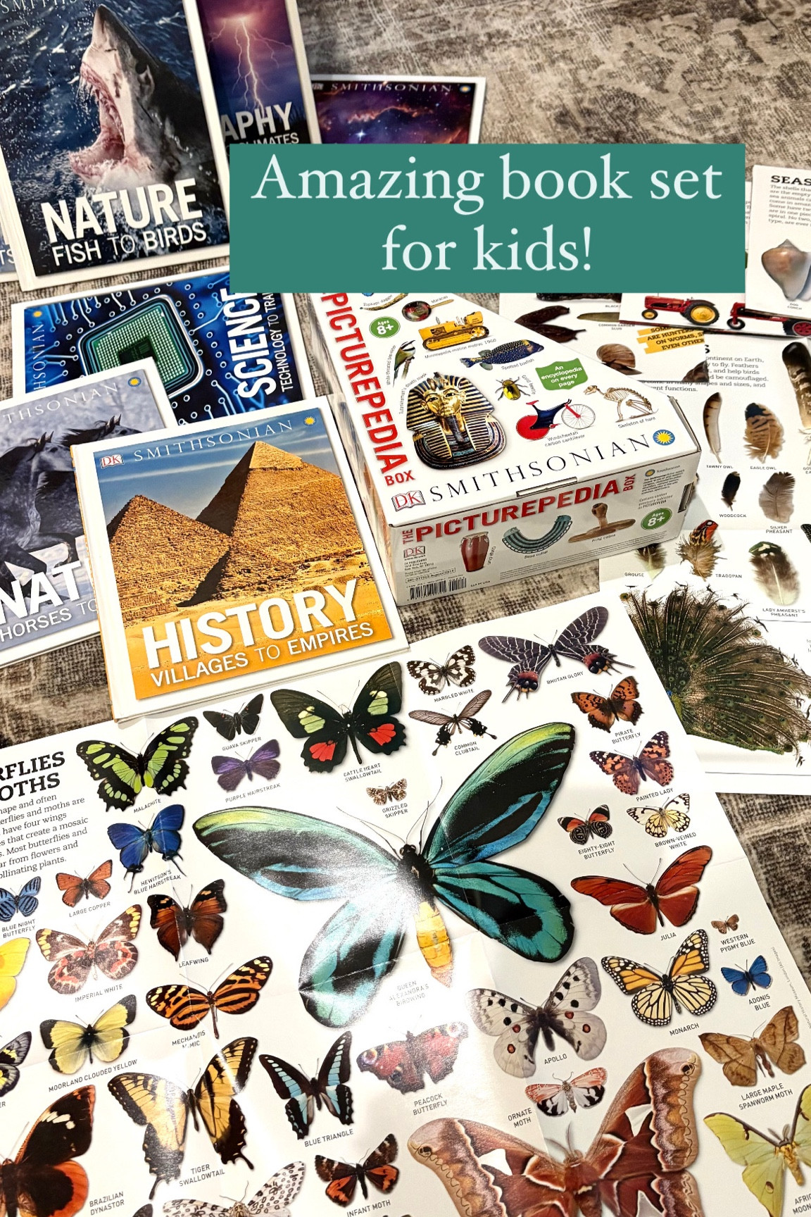 My kids have been fascinated by this Smithsonian Picturpedia book set! (The 4 year old loves to look at all the pics, and the 7 year old loves to actually read them ☺️). They have been such a great educational activity when we are stuck in the car and trying to keep them off screens!

Amazon finds, science, nature, history, bugs, animals, art, space, planets, birds, climate, exploration, picture books for kids, car activities, screen-free activities

#LTKFindsUnder50 #LTKKids #LTKTravel