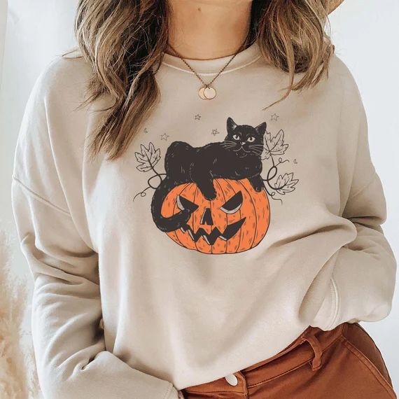 Black Cat on Pumpkin Sweatshirt Sweater for fall Black Cat | Etsy | Etsy (US)