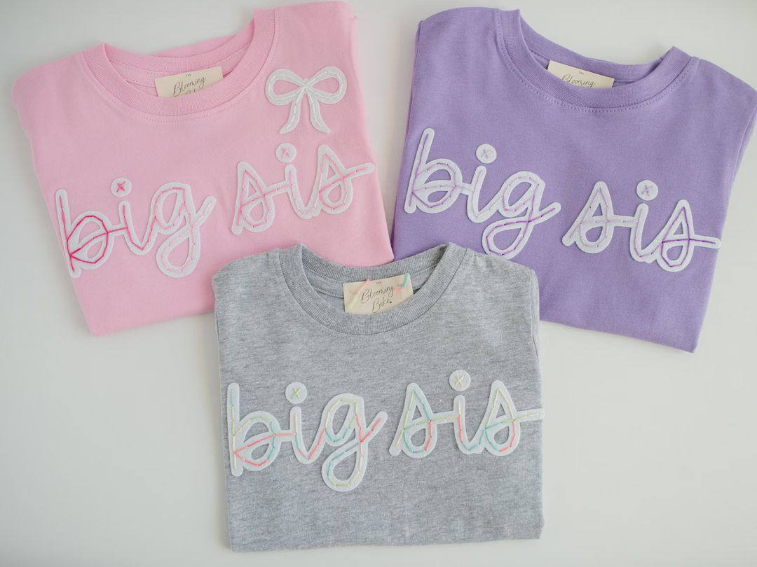 Big Sis Hand-embroidered T-shirt Big Sister Shirt, Baby Announcement Shirt, Rainbow Baby Sibling,... | Etsy (US)
