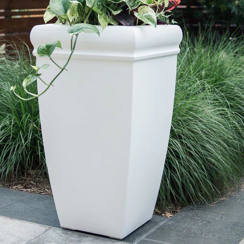 Chelsey Self-Watering Resin Planter Box | Wayfair North America