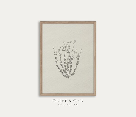 Neutral Botanical Drawing / Vintage Flower Sketch / Farmhouse | Etsy | Etsy (US)