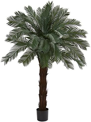 Nearly Natural 6ft. Cycas Artificial Tree, UV Resistant (Indoor/Outdoor) | Amazon (US)