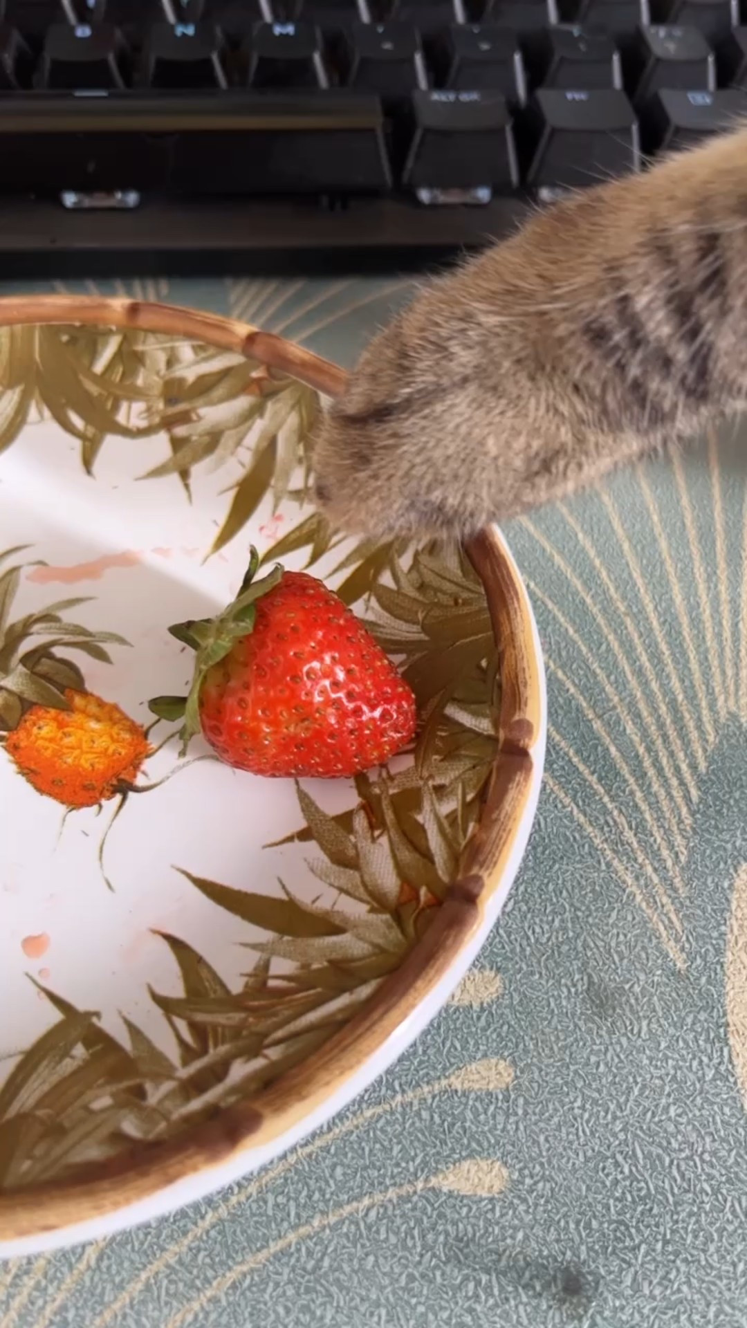 O gato folgado hahahahah mas a louça é linda 