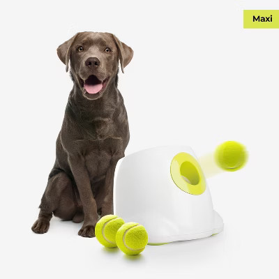 Allforpaws Automatic Dog Ball Launcher, Interactive Dog Ball Thrower with 10/20/30Ft Adjustable Distances, 3 Tennis Balls Include | Target