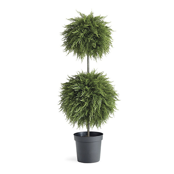 Indoor/Outdoor Cypress Double Ball Topiary | Frontgate