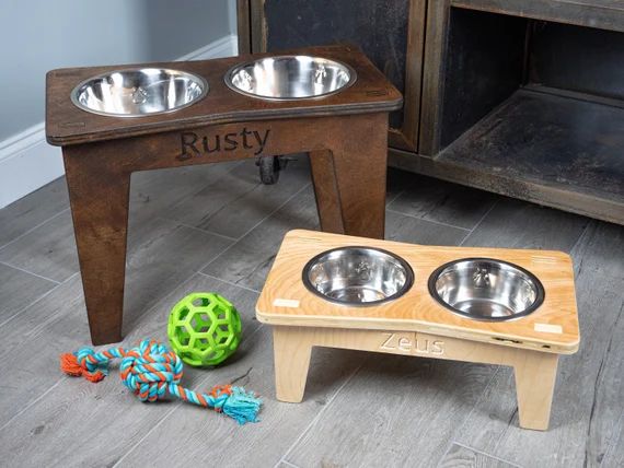 Modern Raised Dog Bowl Stand  Bowls Included  Free | Etsy | Etsy (US)
