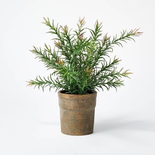 Small Leaf Potted - Threshold™ designed with Studio McGee | Target