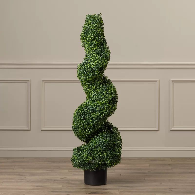 Boxwood Topiary in Pot | Wayfair North America