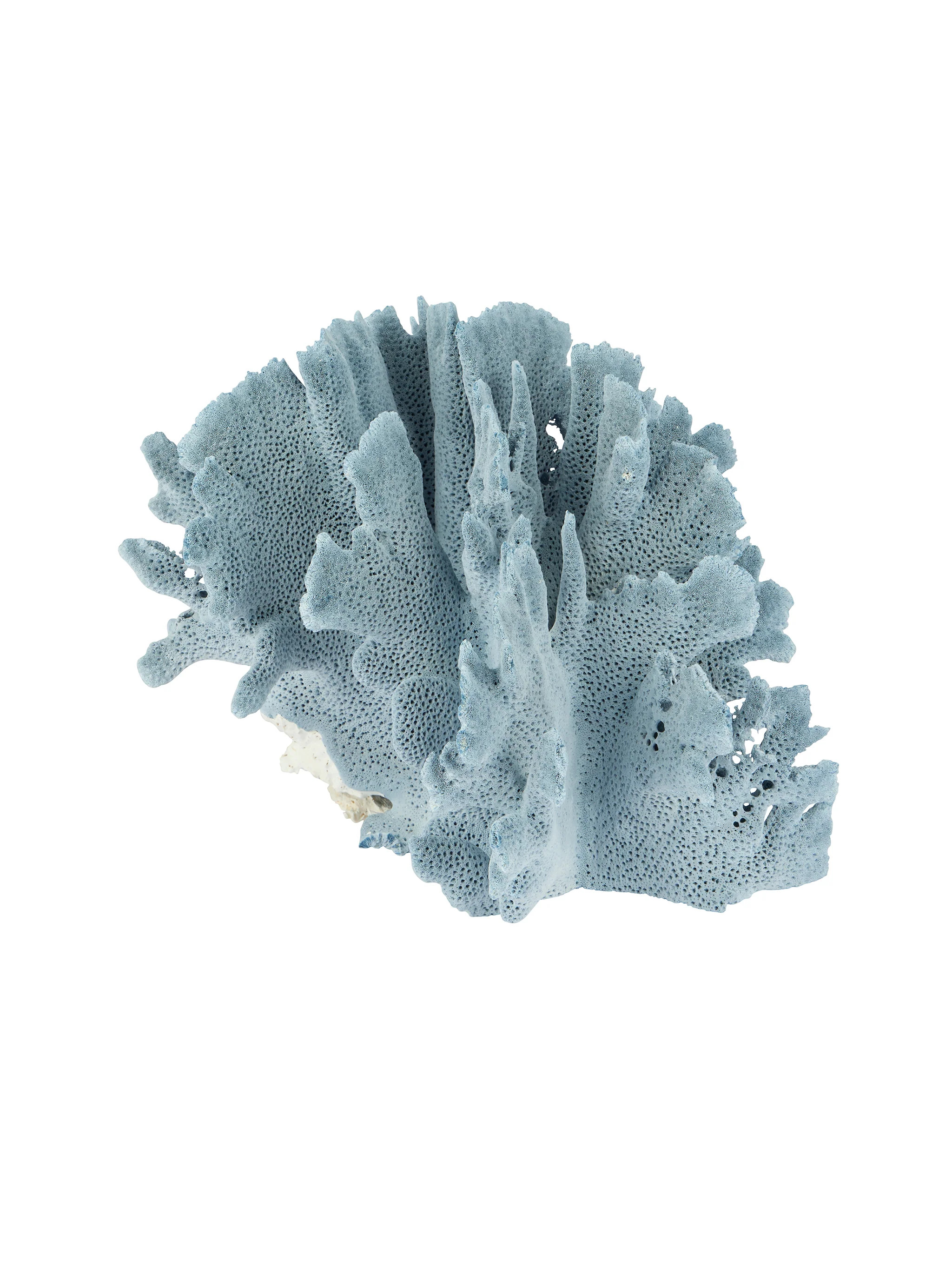 Light Blue Ridge Coral Cluster | Weston Table