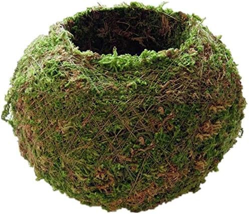 Moss Ball Flower Pot Natural Planter Bonsai Plant Holder Bird Nest for DIY Gardening Home Table D... | Amazon (US)