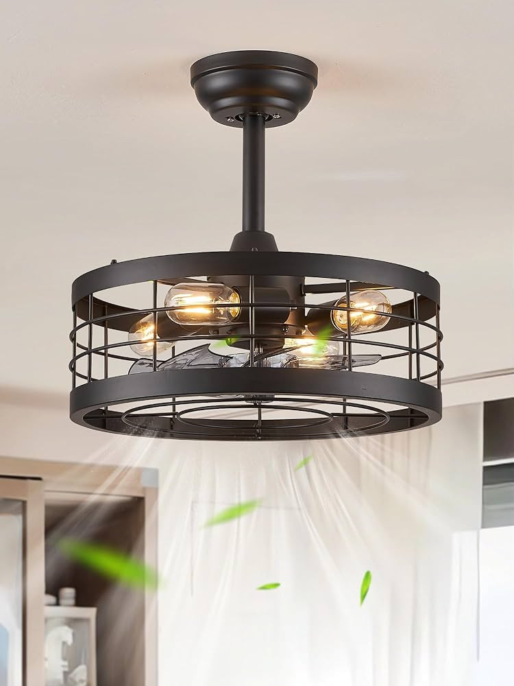 LEDIARY 16.5 inch Black Caged Ceiling Fan with Light, Fandelier Industrial Ceiling Fan with Remot... | Amazon (US)