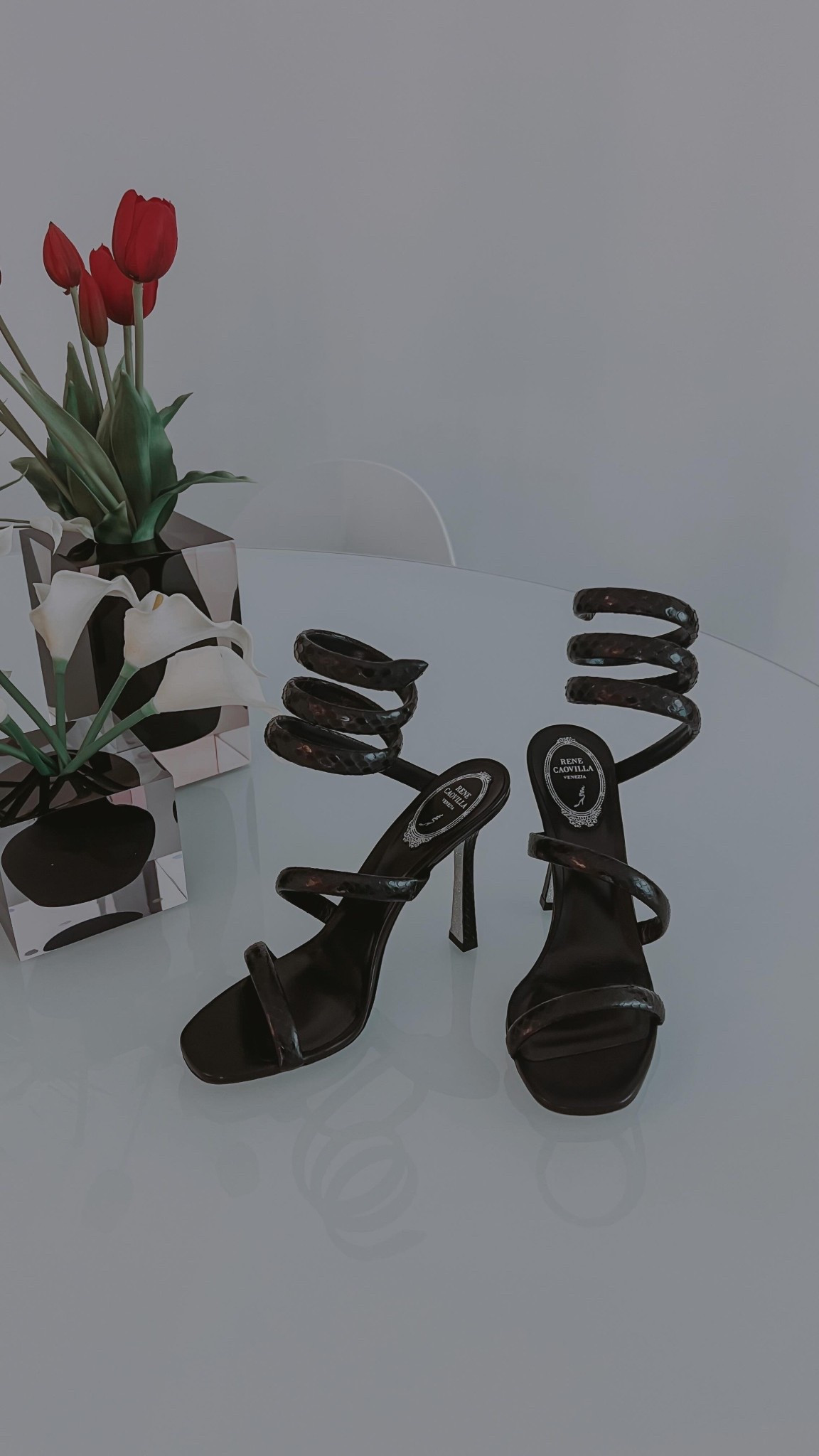 There’s no such thing as too many pair of heels right? 🤭

These are my 2nd pair of Rene Caovilla & trust me when I say these heels are beautiful AND comfy!

Comment HEELS & you’ll receive a DM With the
direct link to these heels. They’re currently on sale ✨

-
-
-
#miamicontentcreator #miamiinfluencer #unboxing #unboxingvideo #renecaovilla #heelsaddict #shoesfashion #shoestyle #fashiondesigner #fashionlovers