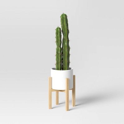 Cactus in Ceramic Wood Pot - Threshold&#8482; | Target