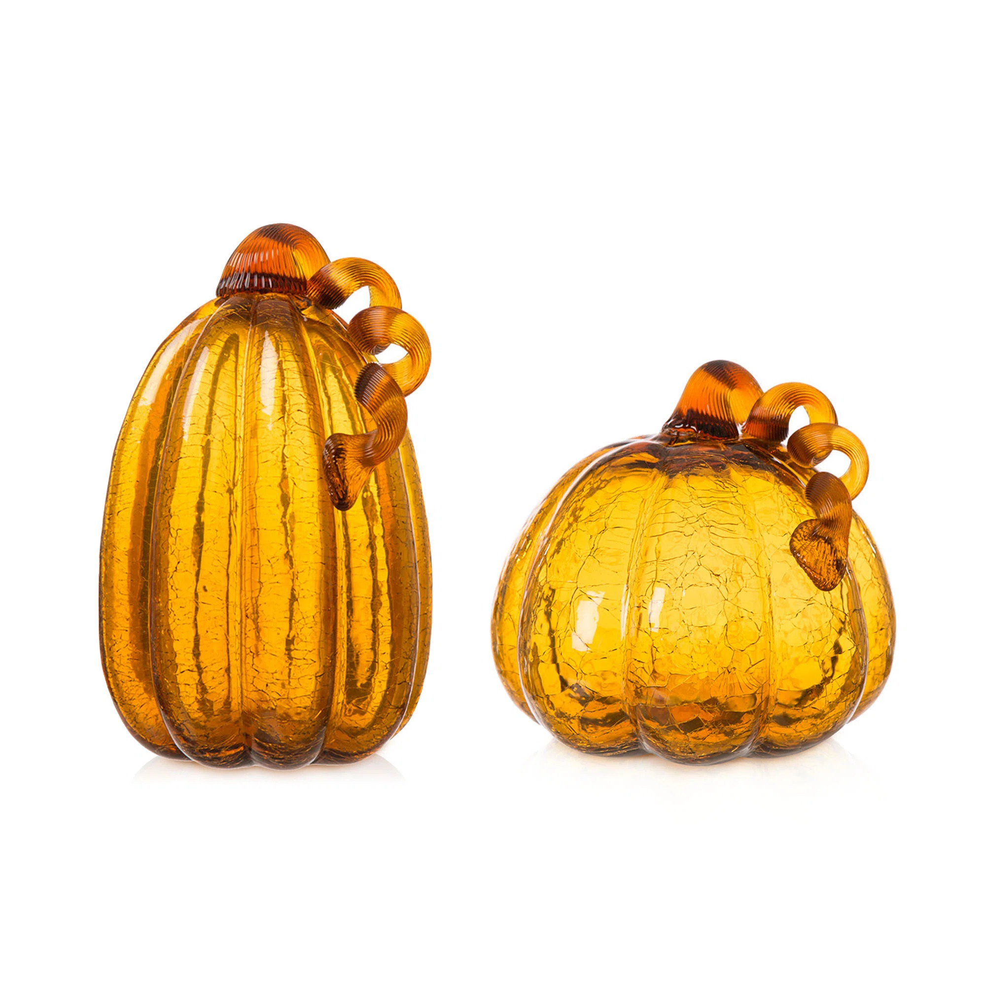 2 Piece Crackle Glass Pumpkin Set | Joss & Main