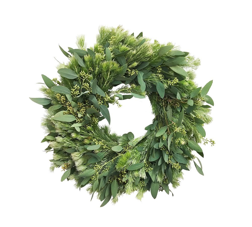 Fresh Woolly Bush and Eucalyptus Wreath | Pottery Barn (US)