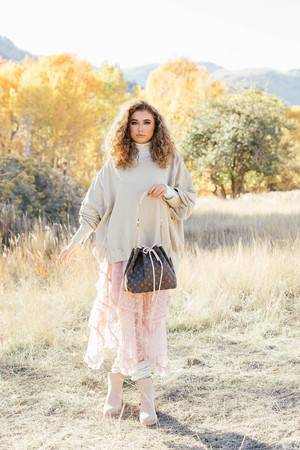 Classic Champagne Bag | Vintage Boho