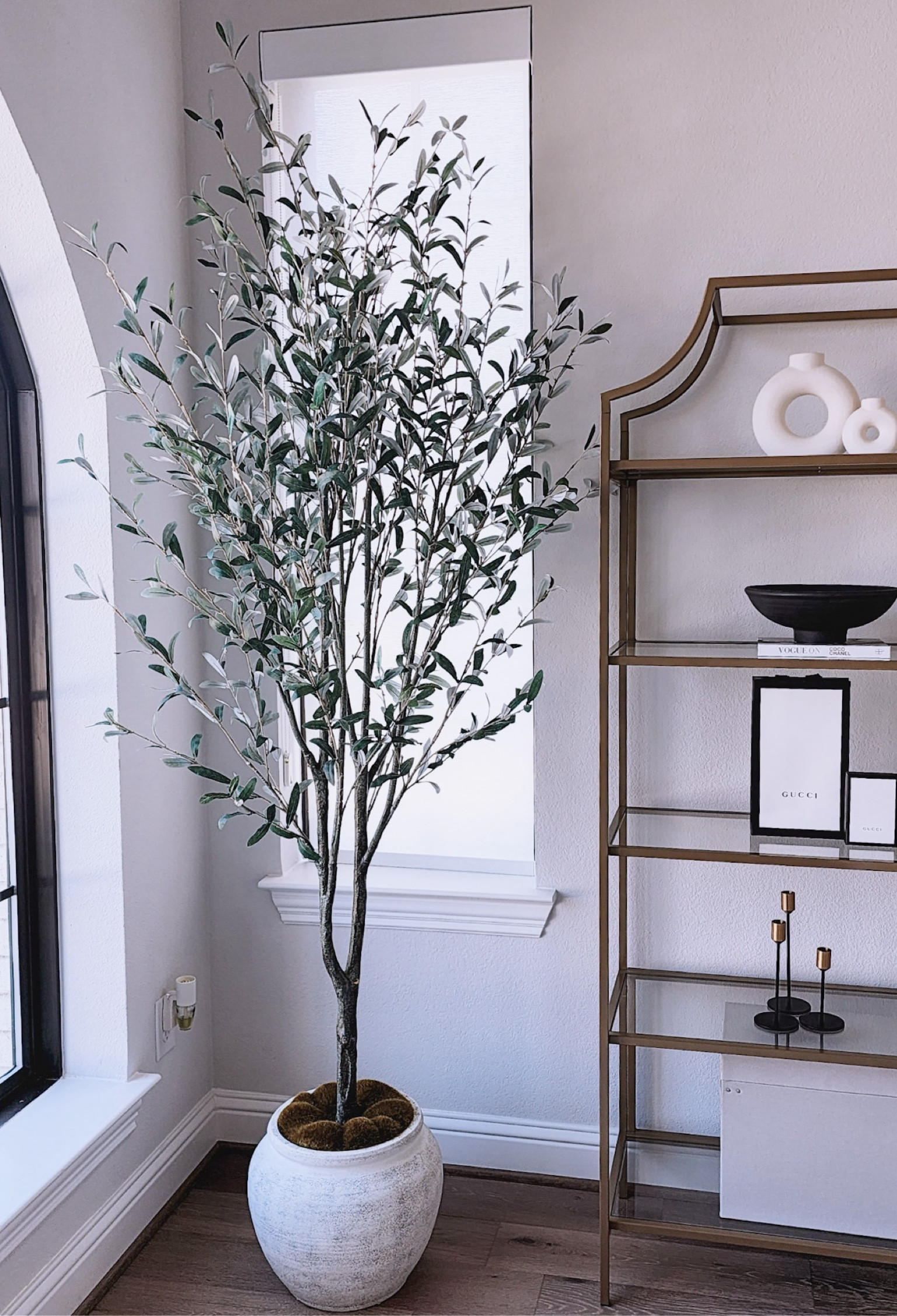 My 93” potted olive tree is currently 30% off! This is the lowest I’ve seen it go since it’s been in stock. 

#LTKSaleAlert #LTKHome