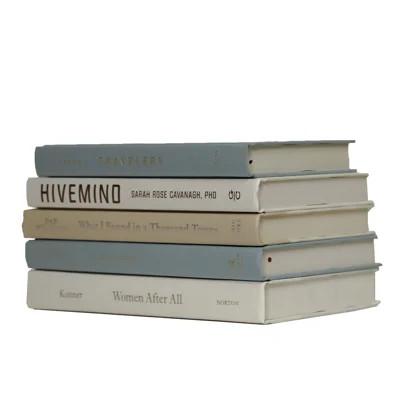 Decorative Books - Sea Glass Book Stack - 5 Blue Books | Wayfair North America