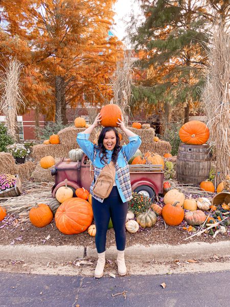 Stressed, blessed, and pumpkin obsessed! 
#plaidshacket #leggings #plaiddenimshacket #shacket #chelseaboots #slingbags #lugsoleboots #bodysuit #falloutfit #pumpkinpatch #pumpkinpatchoutfit 

#LTKstyletip #LTKunder100 #LTKSeasonal