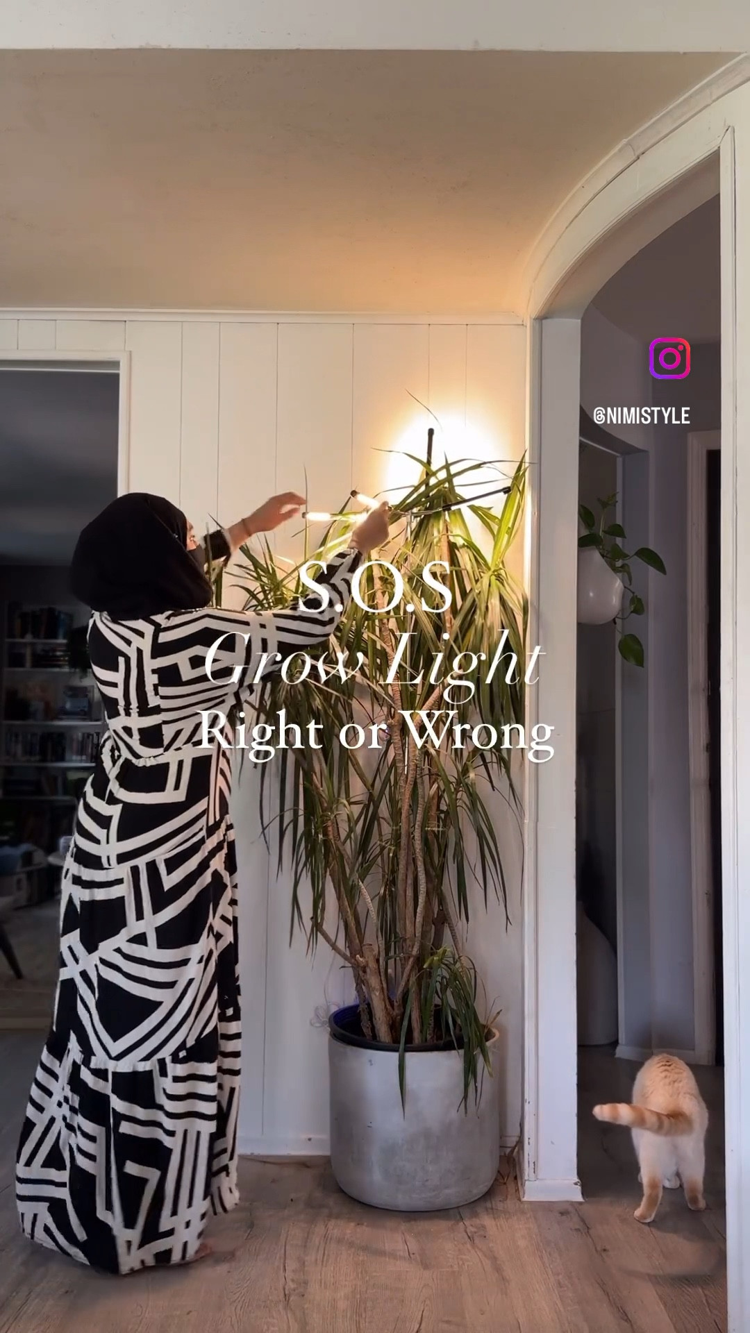 Indoor Plant Grow Light 