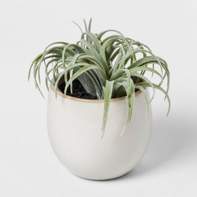 Faux Succulent in White Pot - Threshold™ | Target