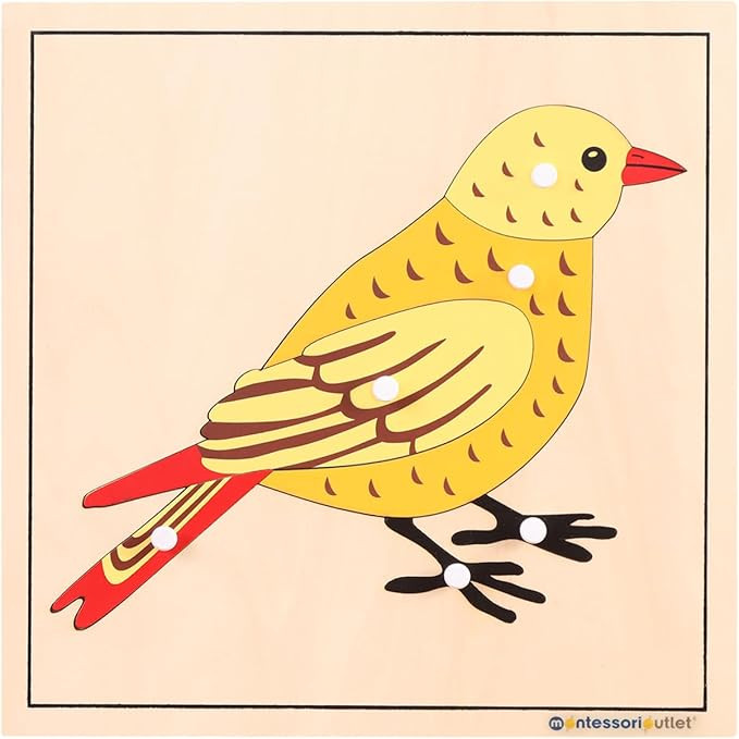 Montessori Bird Anatomy Puzzle, Wooden Body Parts Learning Toy, Preschool Science Puzzle for Kids... | Amazon (US)
