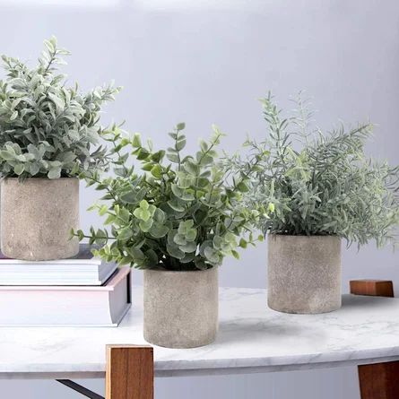 Artificial Eucalyptus Green Plants Set Indoor Artificial Faux Greenery In Gray Pots (Set Of 3) | Wayfair North America
