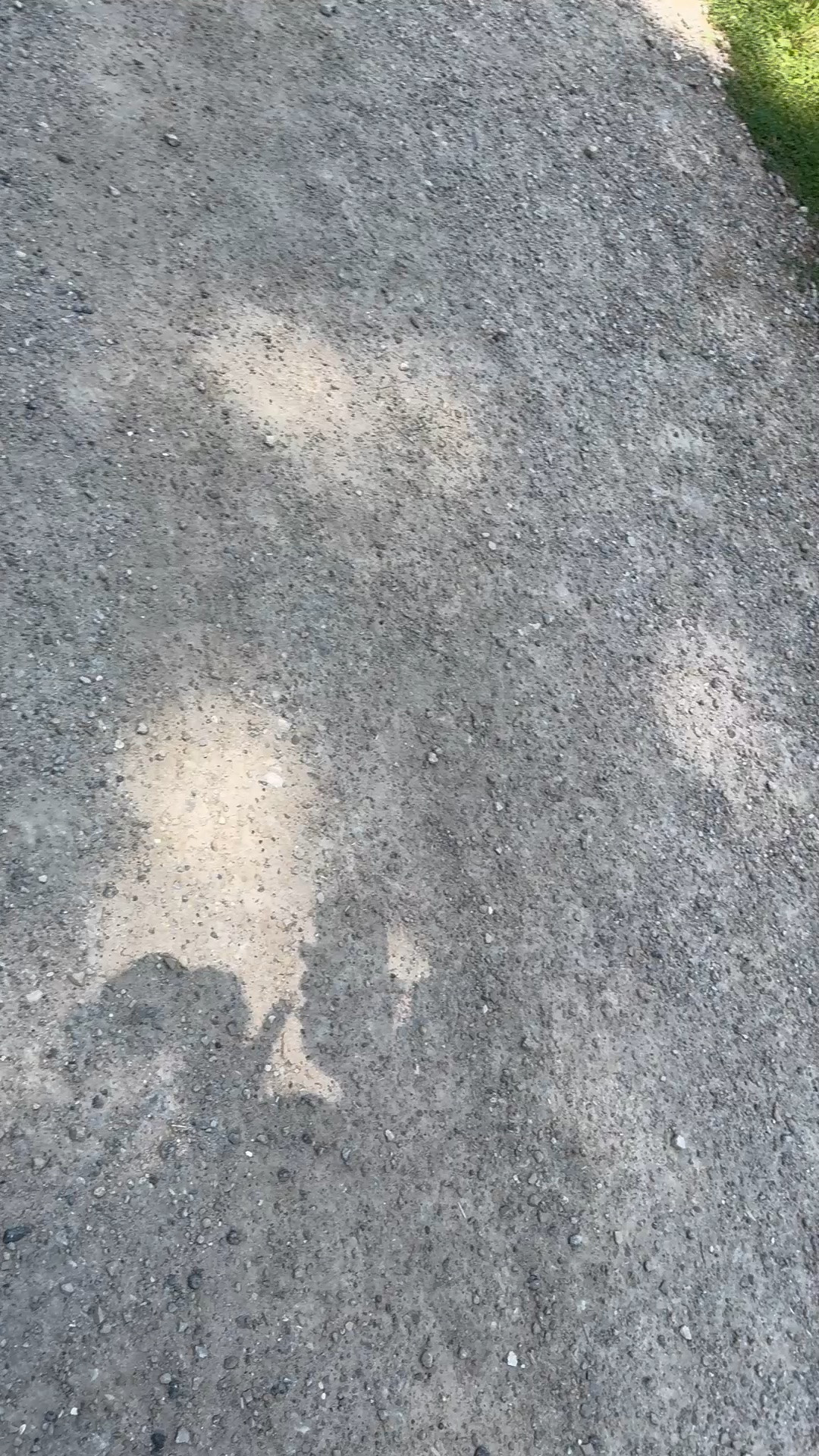 Try not to look at the four boobs! 😂 I got too hot for the top! I barely could keep up with her!

#LTKootd #LTKmomlife #LTKOver40