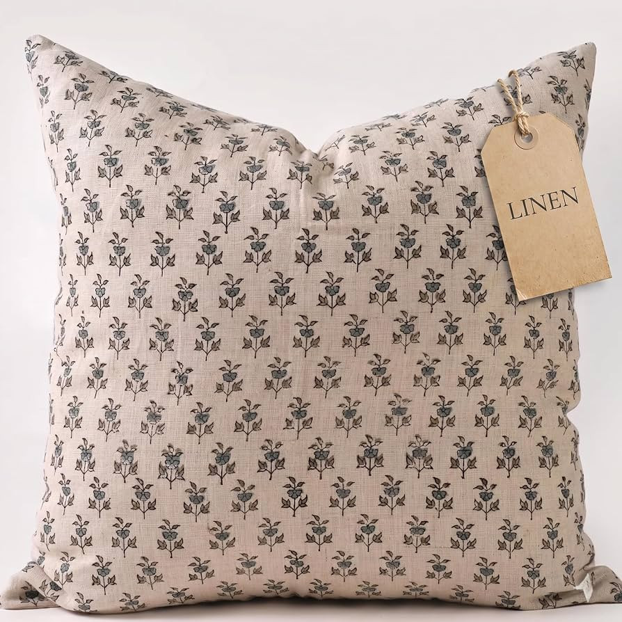 Linen Throw Pillow Covers 20x20 inch Soft sage and Blue Decorative Pillow Covers for Living Room,... | Amazon (US)