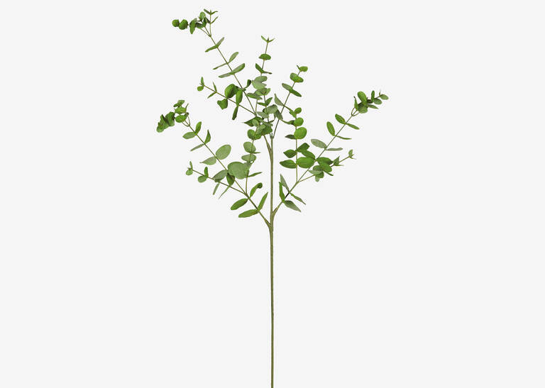 Cale Mini Eucalyptus Spray | Urban Barn