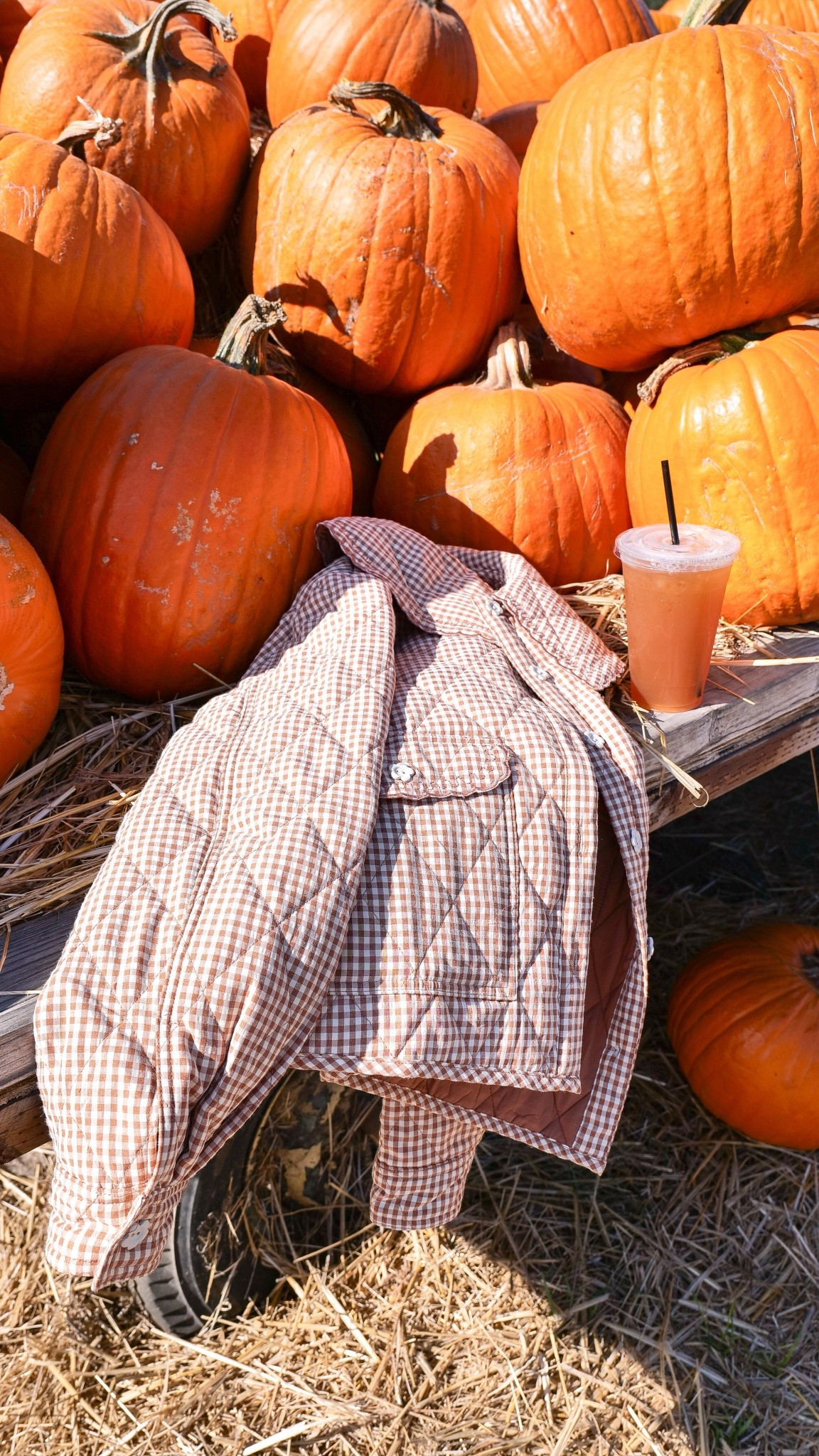 The most perfect coat and cardigans you need this fall and winter! This gingham one is a favorite!!

#LTKSeasonal #LTKBump #LTKHoliday