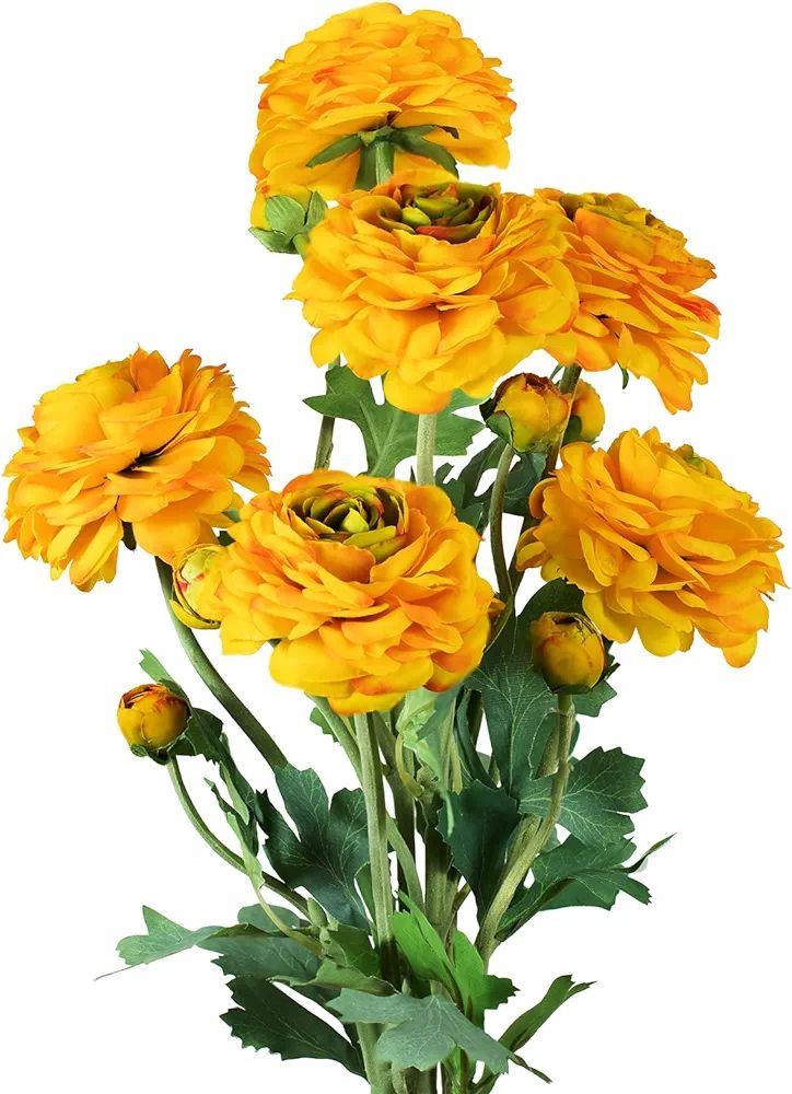 GLSATEMAN Artificial Ranunculus Long Stem Buttercup Silk Flowers 6pcs for Home Decor and Wedding ... | Amazon (US)