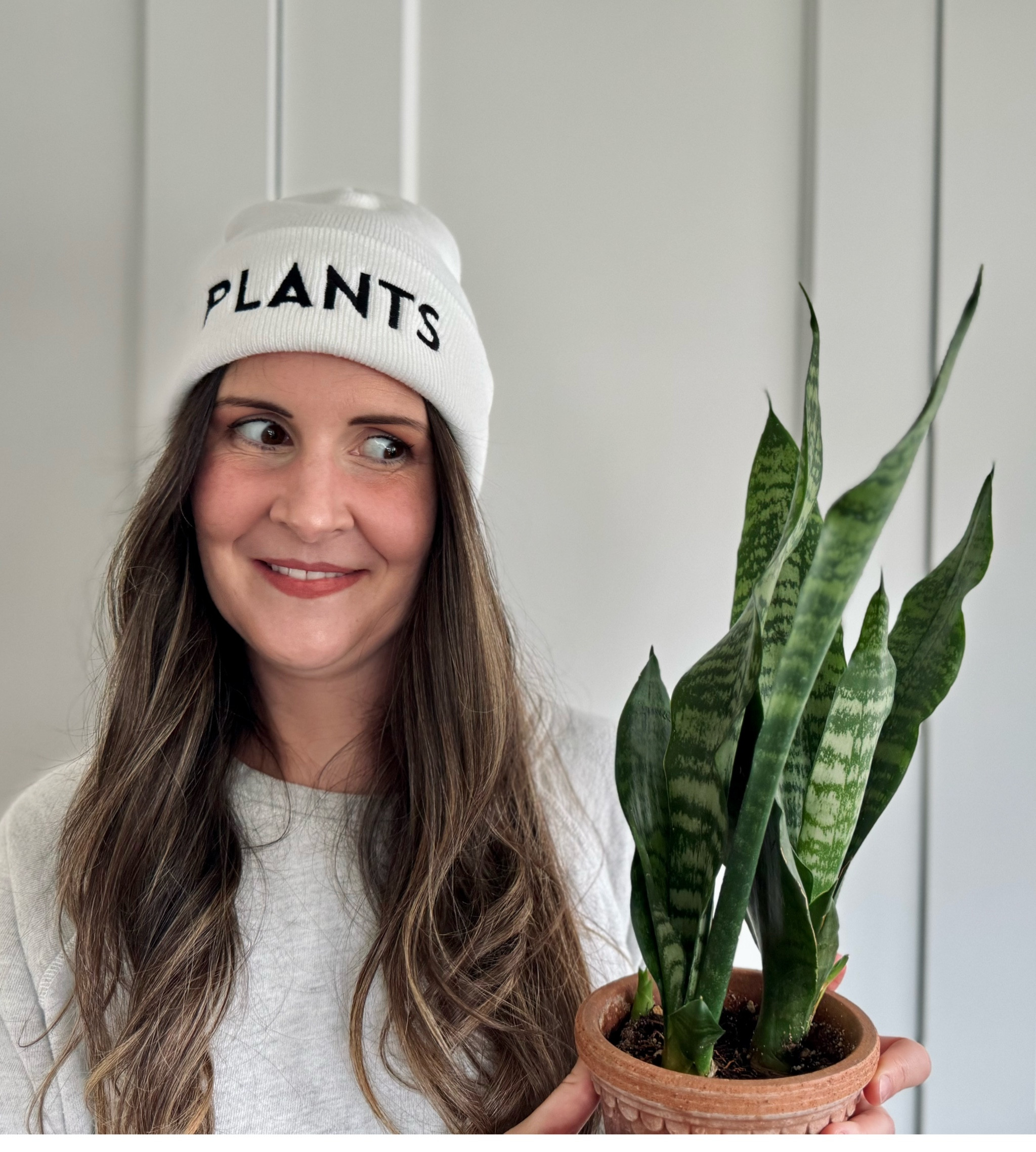 Love me a new houseplant + planter combo 🪴 

#LTKSeasonal #LTKhome