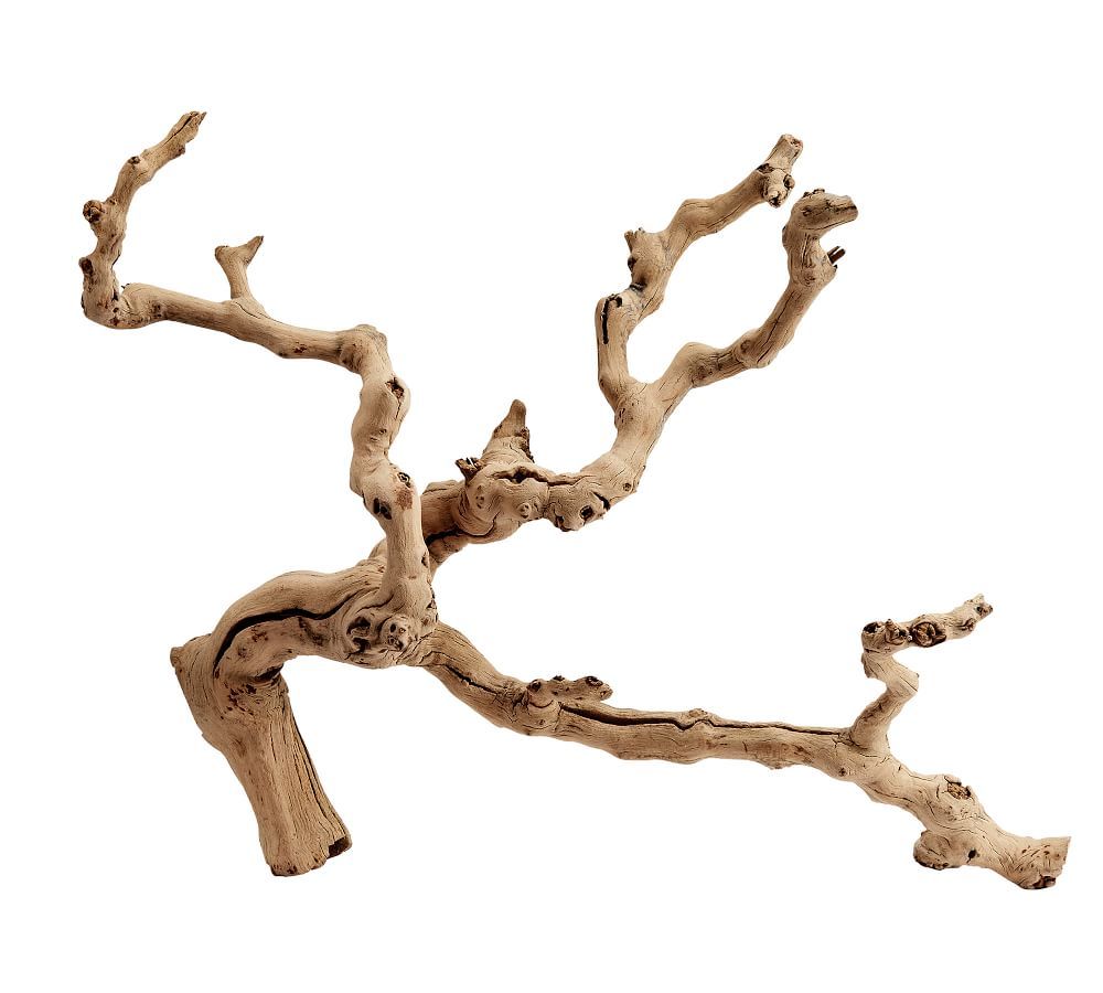 Dried Grapewood Branch, Natural, One | Pottery Barn (US)
