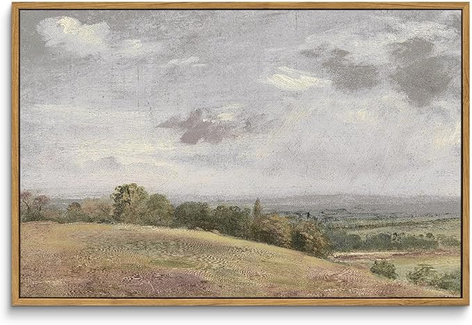 InSimSea Framed Canvas Wall Art Vintage Decor, Large Farmhouse Nature Scenery Clouds Valley Grass... | Amazon (US)