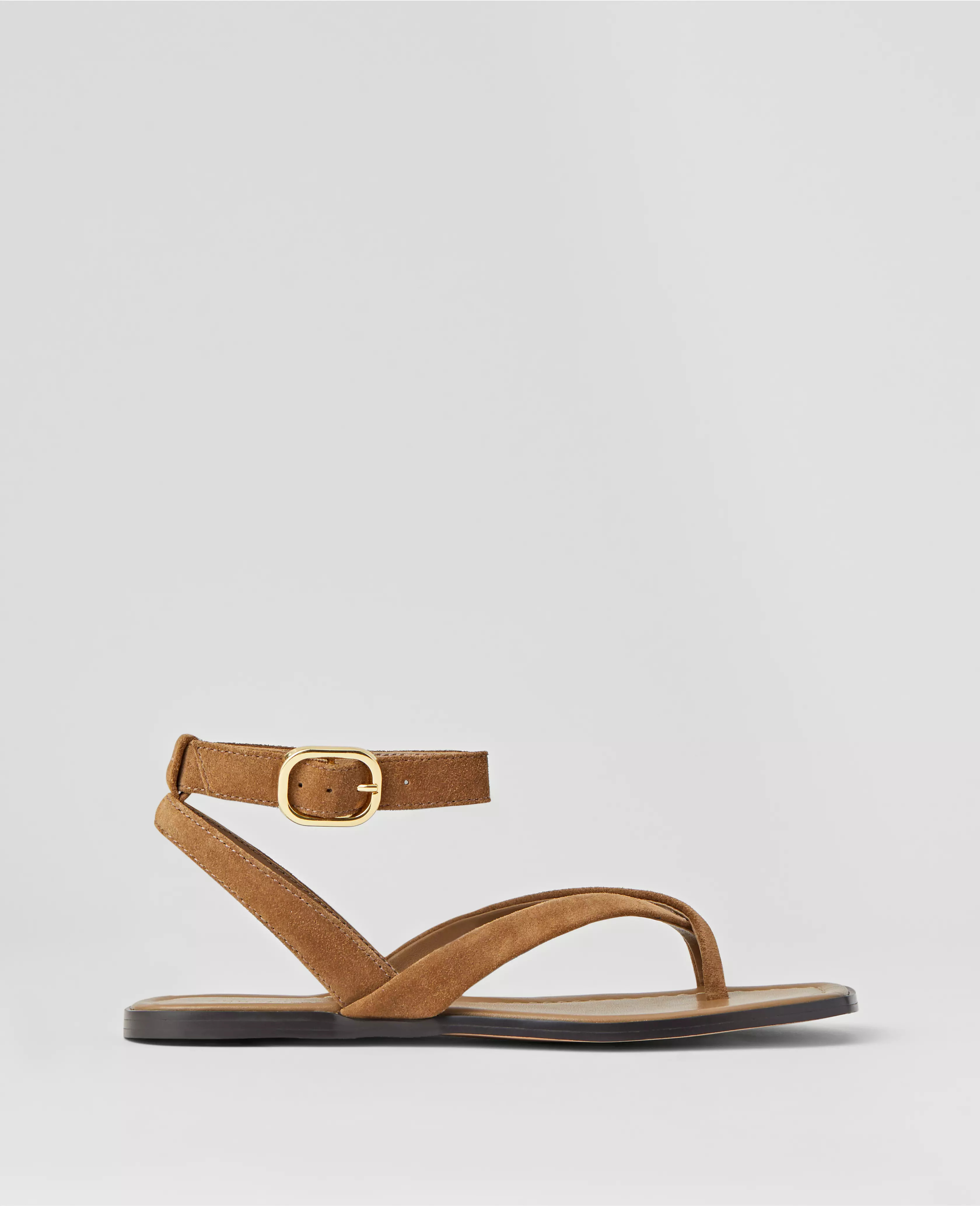 Ann Taylor | Ann Taylor