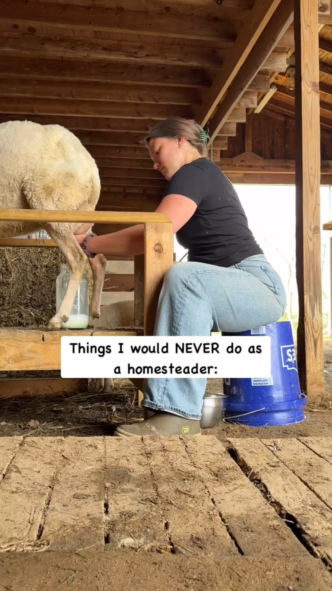 FUN FACT:

Anyone can homestead. You don’t need 100 acres. 

There’s no right or wrong way. And if you asked 10 different homesteaders the same question, more than likely you’d get 10 different answers. 

It can be whatever it means to you. Where’s your passion? 

In an apartment, I learned to cook from scratch, and buy in bulk. 
In a neighborhood, I learned to keep chickens, and grow some herbs.

It doesn’t matter how you start. It only matters that you start somewhere! That is, if you want to 😘🥰 

#homesteadingmama #simpleliving #homestead #naturalliving #homesteading #farmtotable #homecooking #fyp #dairysheep