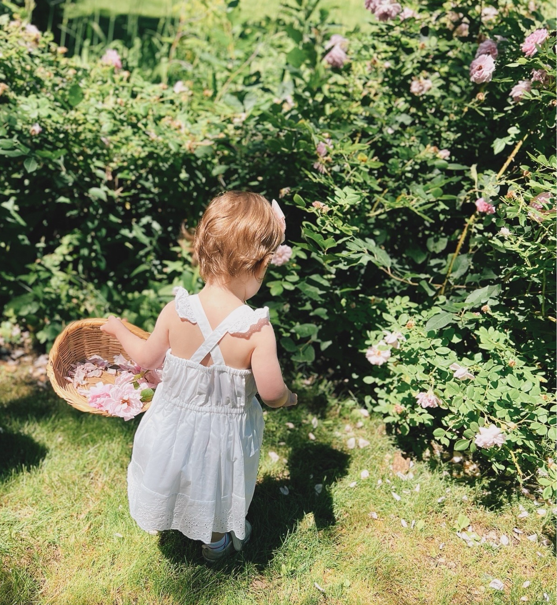 Toddler white dress 
Walmart finds 


#LTKFamily #LTKKids