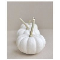 White Pumpkins Photography, White Kitchen Art, Vertical Print 11x14, 18x24, Fine Art Print, Still Li | Etsy (US)