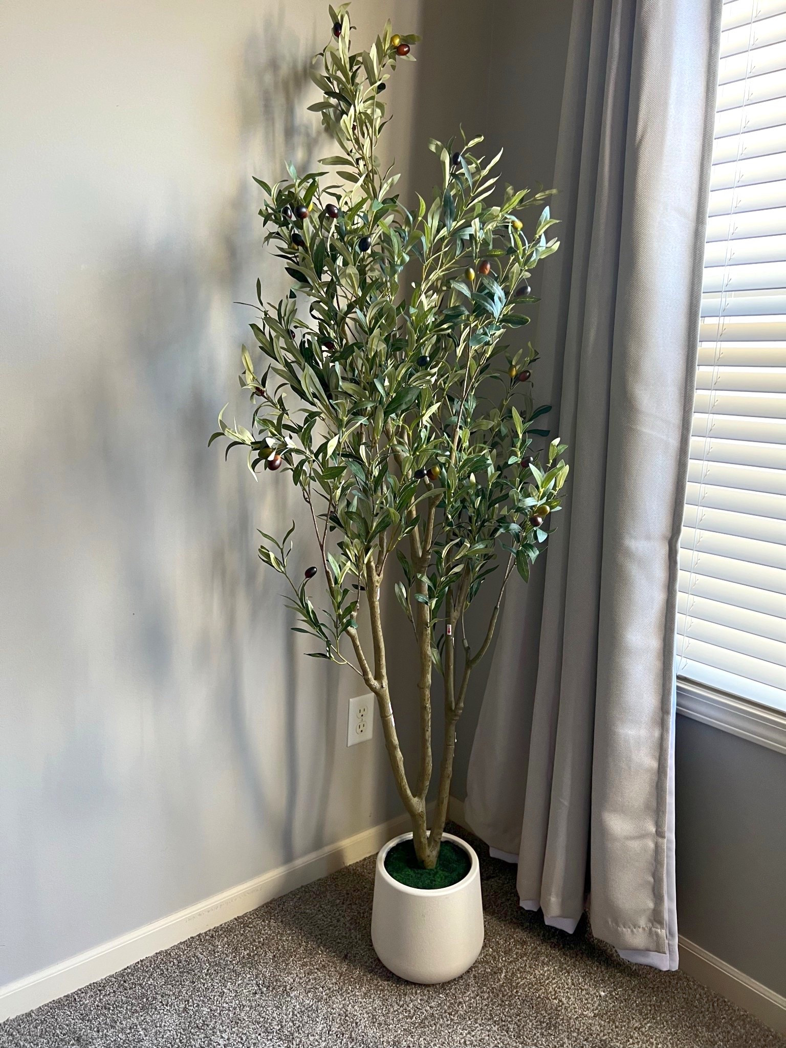 The prettiest little olive tree from Amazon! 🌿🤎 It’s already making our bedroom feel so warm and cozy. Can’t wait to finish this corner!💚✨

The one I got is 6ft 

#LTKdayinmylife #LTKHome #LTKmomlife