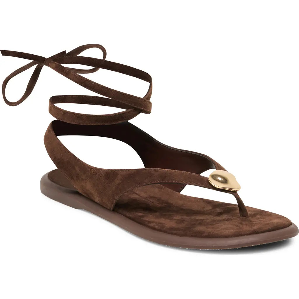 Dolce Vita Judy Ankle Wrap Sandal in Dark Brown Suede at Nordstrom, Size 7 | Nordstrom