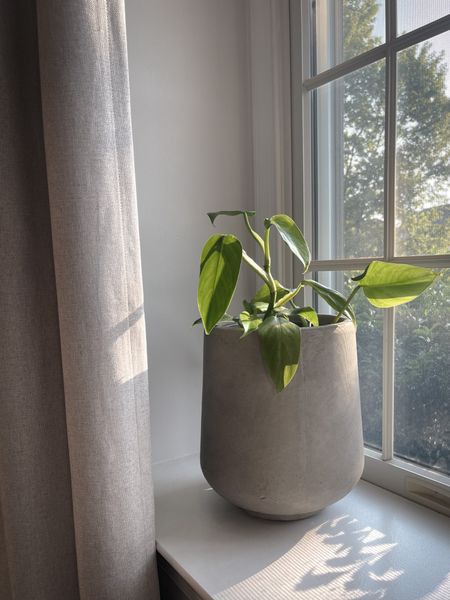 Good morning, little plant. 😍 Love these cement planters from Amazon! They come in a set of three and this is the smallest one. 

Amazon home, planter pot, cement planter, Amazon curtains, linen curtains dupe, home decor, greenery

#LTKhome #LTKFind
