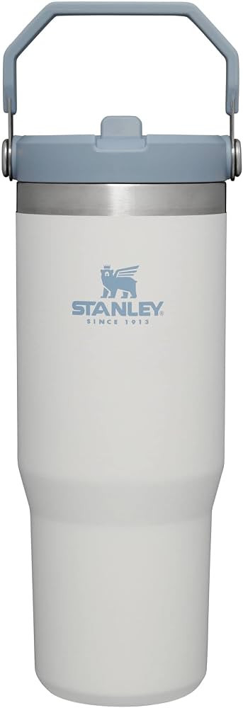 STANLEY IceFlow Stainless Steel Tumbler with Straw, Vacuum Insulated Water Bottle for Home, Offic... | Amazon (US)